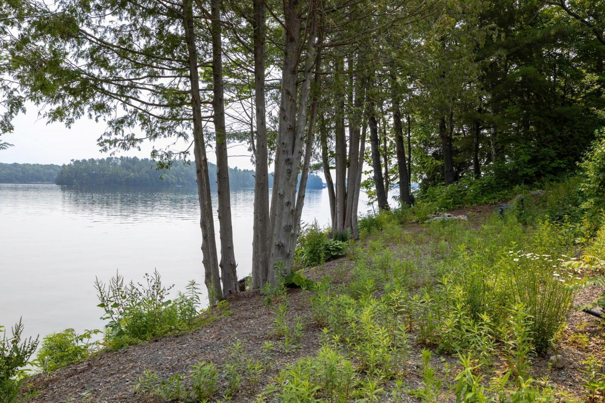 Tranquil Shores Mactier 外观 照片